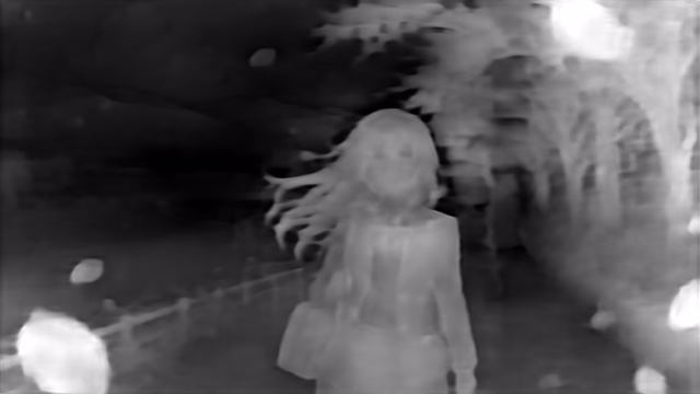 DPT DINOv2-Base NYU depth map of Anime, cherry blossoms