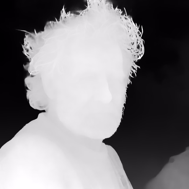 Depth Anything 3 Giant depth map of Fisherman portrait