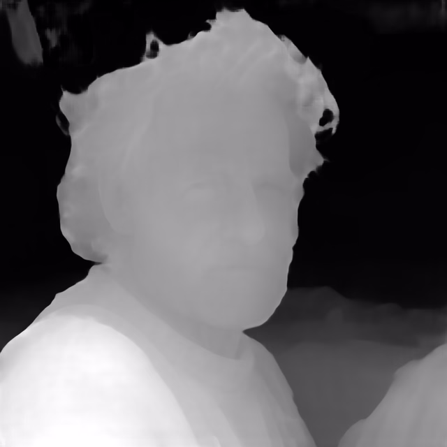 Metric3D v2 ViT-Large depth map of Fisherman portrait