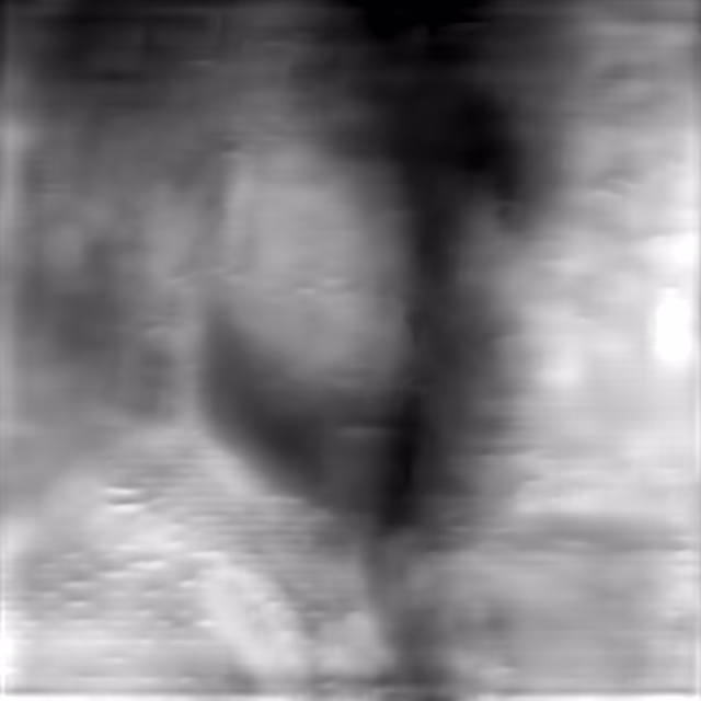 TIPS v2 Base DPT depth map of Fisherman portrait