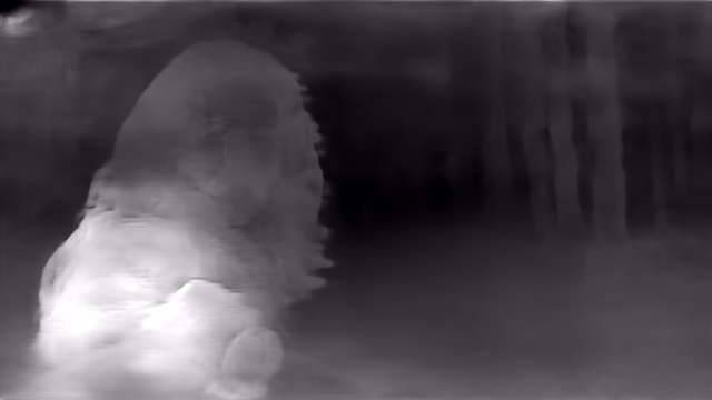 DPT DINOv2-Base KITTI depth map of Horror forest