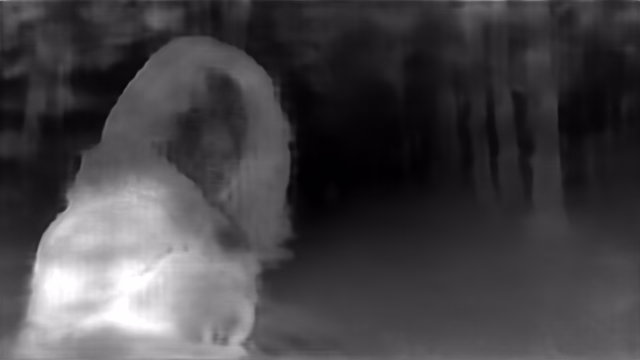 DPT DINOv2-Large KITTI depth map of Horror forest