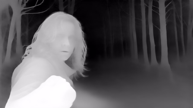 Lotus-D v1.1 depth map of Horror forest