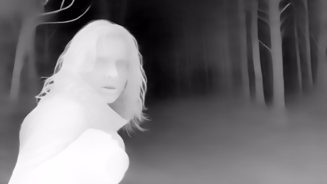 Lotus-G v1.0 depth map of Horror forest
