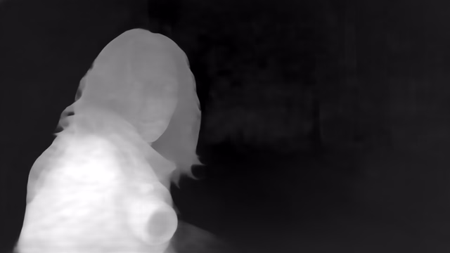 Metric3D v2 ViT-Large depth map of Horror forest