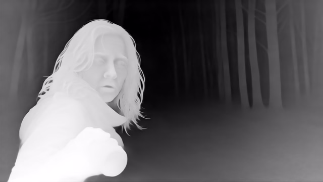 Stable Diffusion E2E-FT Depth depth map of Horror forest