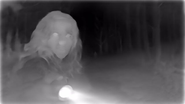 ZoeDepth NYU depth map of Horror forest