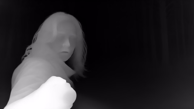 Lotus-D depth map of Horror forest