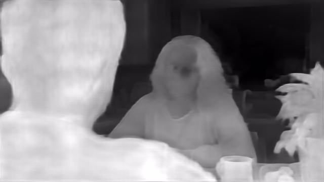 DPT DINOv2-Large NYU depth map of Kitchen dialogue