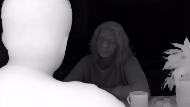 Iris depth map of Kitchen dialogue