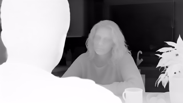 Lotus-D v1.1 depth map of Kitchen dialogue
