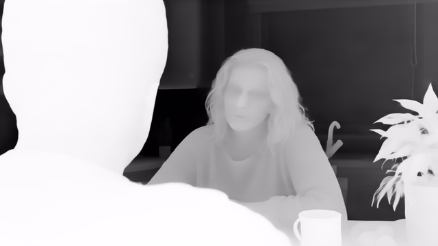 Lotus-G v1.0 depth map of Kitchen dialogue