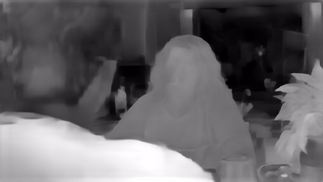 ZoeDepth NYU+KITTI depth map of Kitchen dialogue