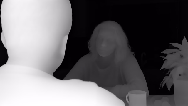 Lotus-D depth map of Kitchen dialogue