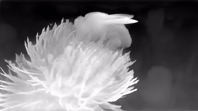 Depth Anything V1 ZoeDepth KITTI depth map of Macro, bee