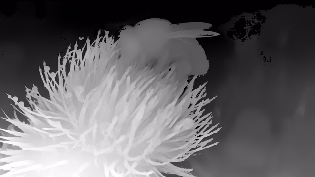 Depth Anything 3 Metric Large depth map of Macro, bee