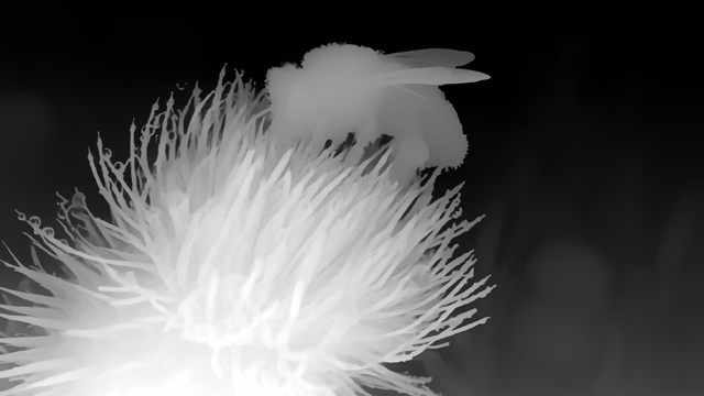 Distill Any Depth Base depth map of Macro, bee