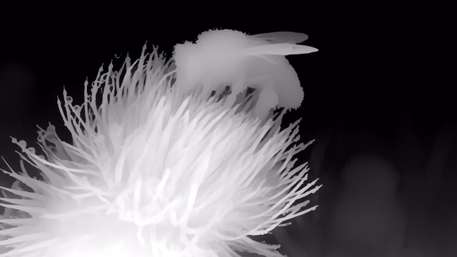 Distill Any Depth Large depth map of Macro, bee