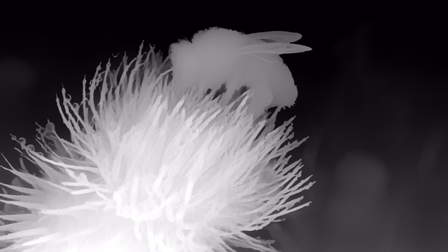 Distill Any Depth Small depth map of Macro, bee