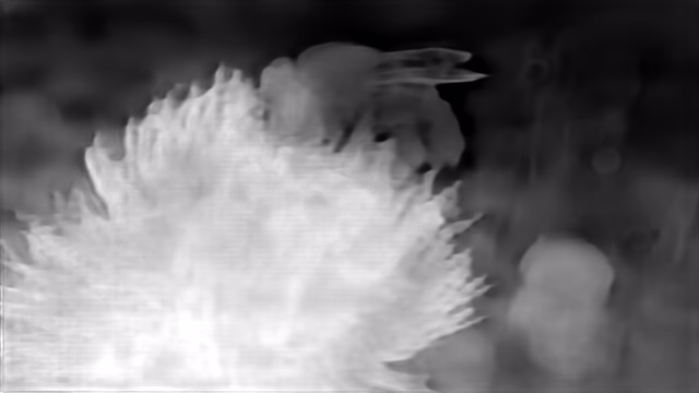 DPT DINOv2-Base NYU depth map of Macro, bee