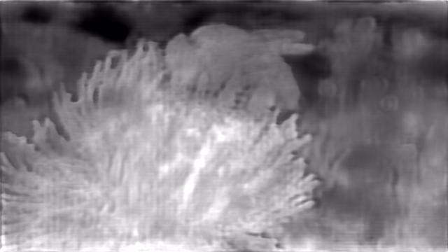 DPT DINOv2-Giant KITTI depth map of Macro, bee