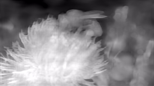 DPT DINOv2-Large NYU depth map of Macro, bee