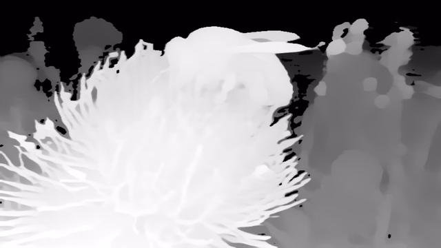DyFN depth map of Macro, bee