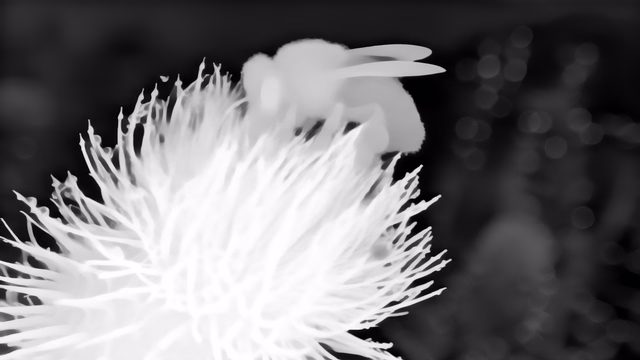 Lotus-D v1.1 depth map of Macro, bee
