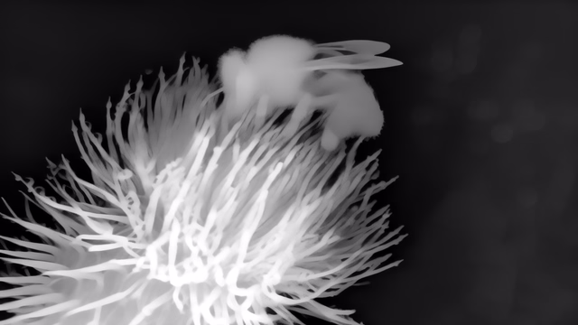 Lotus-G v2.0 Disparity depth map of Macro, bee