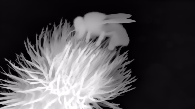 Lotus-G v2.1 Disparity depth map of Macro, bee