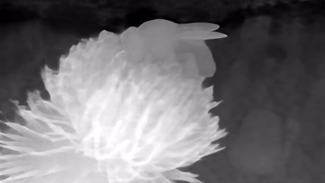 Metric3D v2 ViT-giant2 depth map of Macro, bee