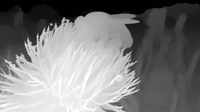 MoGe-2 ViT-L depth map of Macro, bee