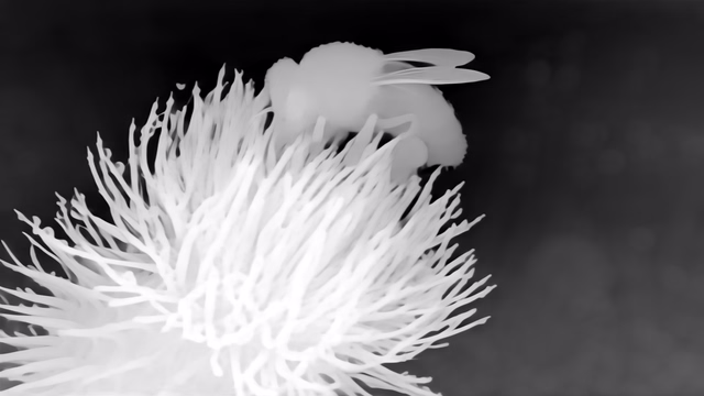Stable Diffusion E2E-FT Depth depth map of Macro, bee