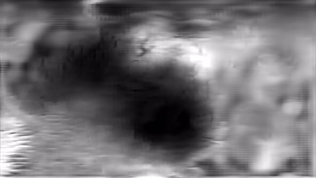 TIPS v2 Base DPT depth map of Macro, bee
