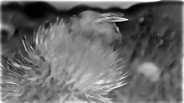 ZoeDepth NYU depth map of Macro, bee