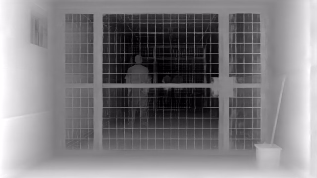Depth Anything V2 Metric Indoor Small depth map of Prison mesh gates