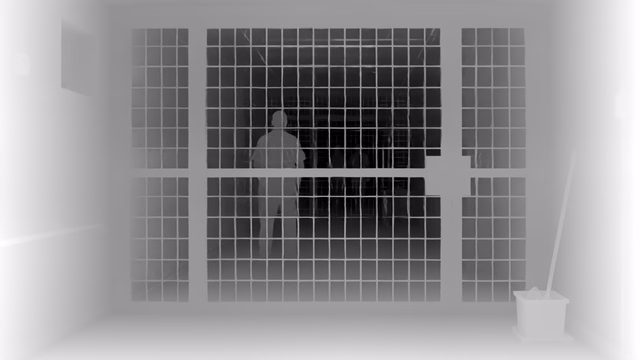 Depth Pro depth map of Prison mesh gates