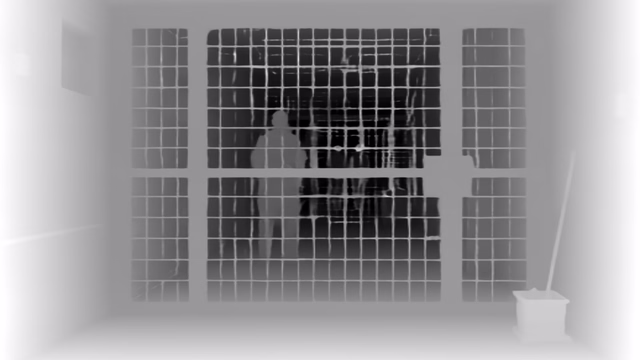 MoGe-2 ViT-L depth map of Prison mesh gates