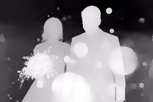Depth Pro depth map of Wedding, soap bubbles