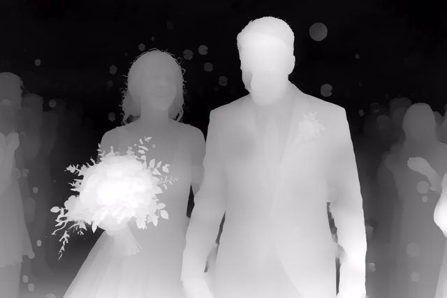 Distill Any Depth Base depth map of Wedding, soap bubbles
