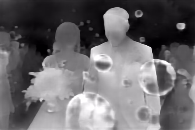DPT DINOv2-Giant NYU depth map of Wedding, soap bubbles