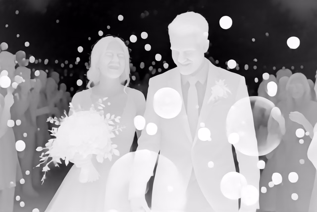 Stable Diffusion E2E-FT Depth depth map of Wedding, soap bubbles