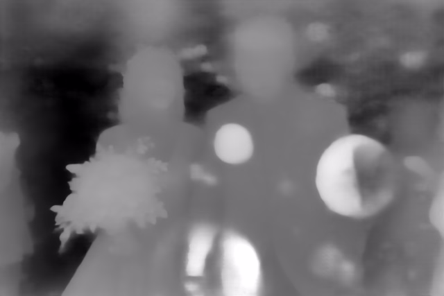 VGGT 1B depth map of Wedding, soap bubbles